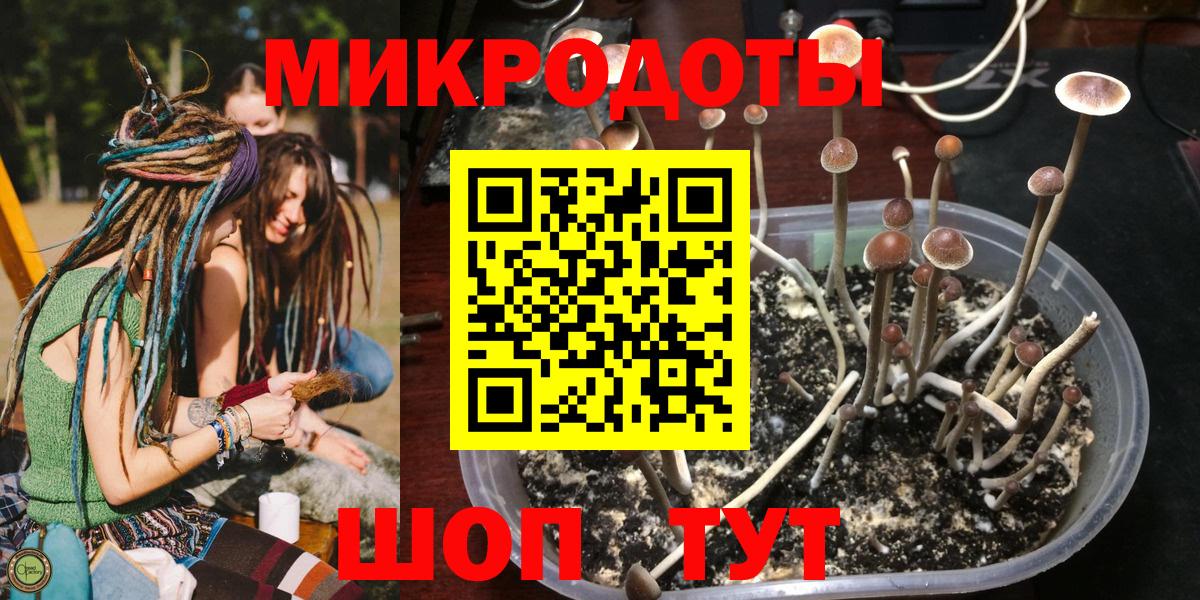 Псилоцибиновые грибы мицелий Артёмовский