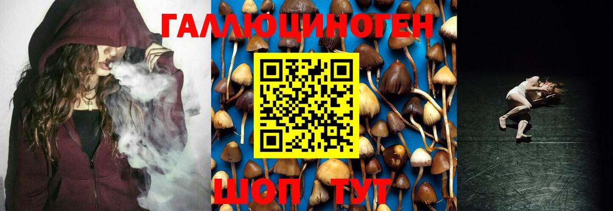 Артёмовский  Псилоцибиновые грибы мицелий  Вход с VPN 